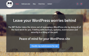 WordPress Maintenance Service - The WP Butler