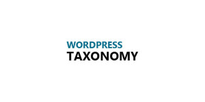 Custom Taxonomies to Improve Your WordPress Site's UX