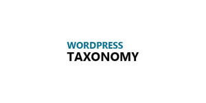 Custom Taxonomies to Improve Your WordPress Site's UX