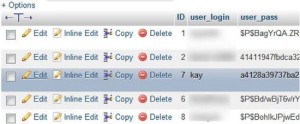What To Do When Encountering WordPress Errors