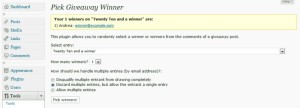 Hosting a Giveaway Using Your WordPress Website