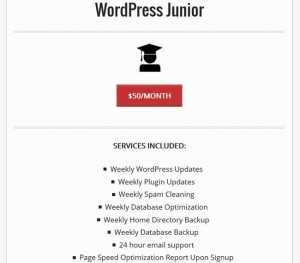 FixMyWP: Providing You a Way to Work “on” Your Website, Not “in” It