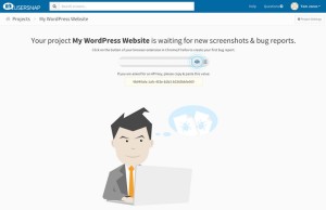 How to Make Your WordPress Website Better With Usersnap