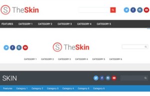 Skin - A Free WordPress Theme for the Community