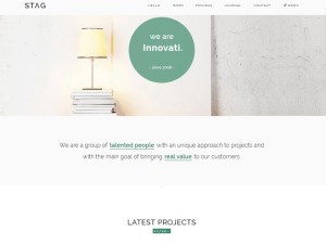 Stag: A WordPress Theme Offering Endless Portfolio Design