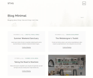 Stag: A WordPress Theme Offering Endless Portfolio Design