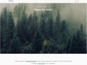 Stag: A WordPress Theme Offering Endless Portfolio Design