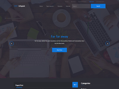 InfoGeek