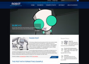 Robot