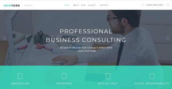 NewYork Business WordPress Theme