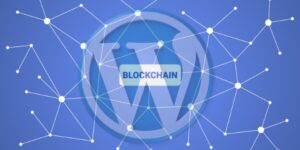 blockchain wordpress plugin development