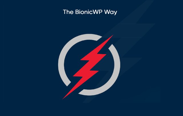 bionicwp review